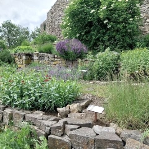 Burg Olbrück, © Vulkanregion Laacher See/Kappest Burg Olbrück, © Vulkanregion Laacher See/Kappest