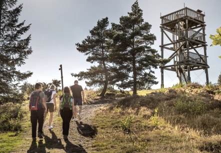 Weiselstein, © Vulkanregion Laacher See/Baumann Fotografie Weiselstein, © Vulkanregion Laacher See/Baumann Fotografie