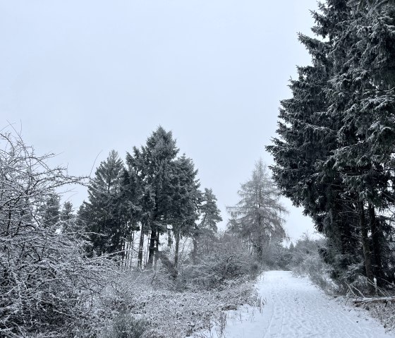 Winterimpression Arft / Hohe Acht Winterimpression Arft / Hohe Acht