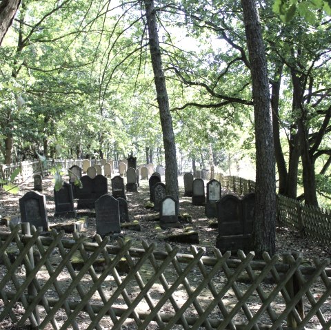 Jüdischer Friedhof Nickenich, © VG Pellenz/Manea Jüdischer Friedhof Nickenich, © VG Pellenz/Manea