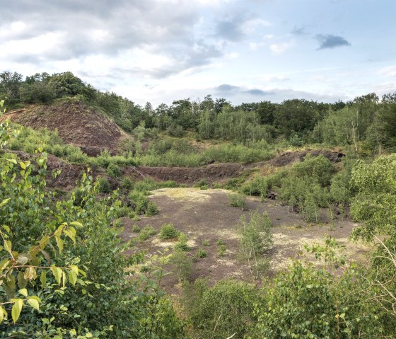 Weg zum Dachsbusch, © Baumann Fotografie Weg zum Dachsbusch, © Baumann Fotografie