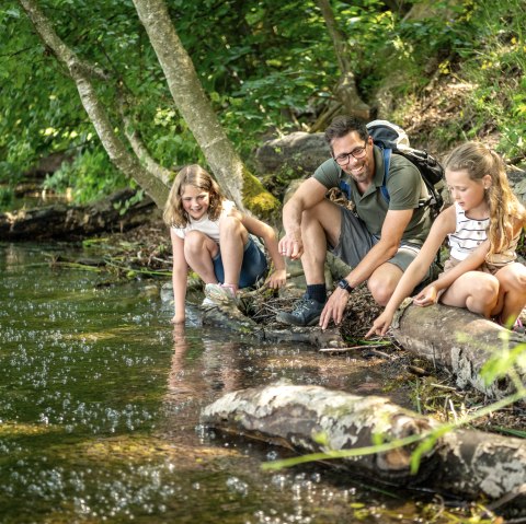 Mofettes on Lake Laach, © Eifel Tourismus GmbH, Dominik Ketz Mofettes on Lake Laach, © Eifel Tourismus GmbH, Dominik Ketz