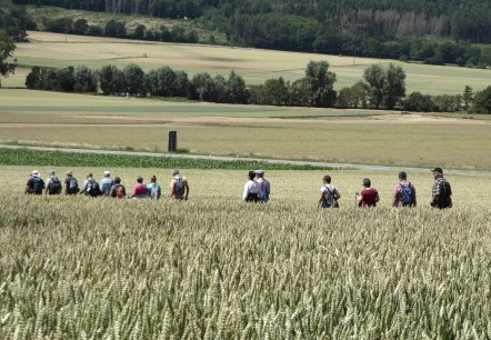 Wandern mit dem Bürgermeister, © G. Hanemann Wandern mit dem Bürgermeister, © G. Hanemann