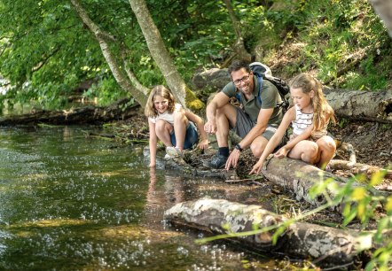 Mofetten am Laacher See, © Eifel Tourismus GmbH, Dominik Ketz Mofetten am Laacher See, © Eifel Tourismus GmbH, Dominik Ketz