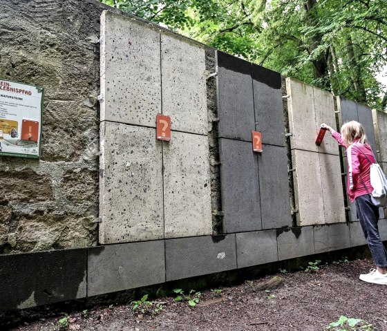 Steinarten bestimmen, © J. Zimpel-Nonn/Vulkanregion Laacher See Steinarten bestimmen, © J. Zimpel-Nonn/Vulkanregion Laacher See