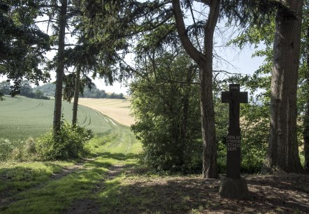 Cache Laachus gedenkt!, © Kappest/Vulkanregion Laacher See Cache Laachus gedenkt!, © Kappest/Vulkanregion Laacher See