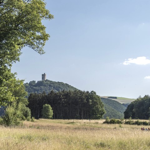 Blick auf Burg Olbrück, © Vulkanregion Laacher See/Kappest Blick auf Burg Olbrück, © Vulkanregion Laacher See/Kappest