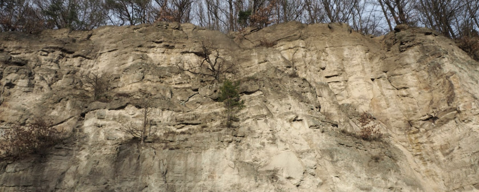 Tuffwand in Rieden, © VG Mendig/Neideck Tuffwand in Rieden, © VG Mendig/Neideck