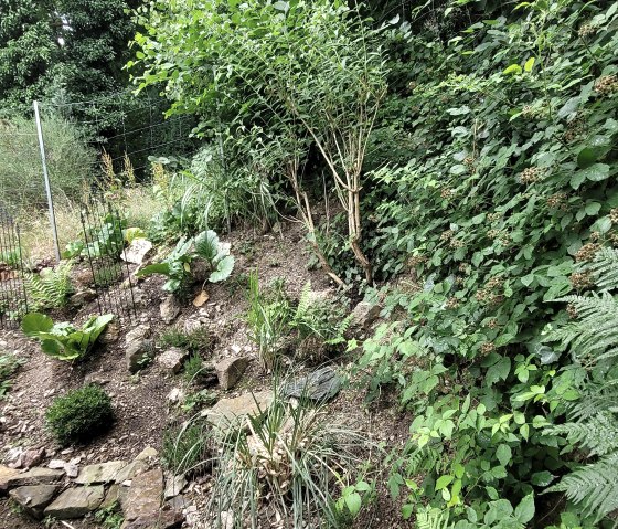 20250713_115846 20250713_115846