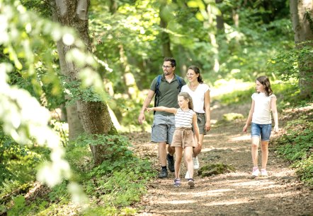 Familienwanderung in der Vulkanregion Laacher See, © Eifel Tourismus GmbH, Dominik Ketz Familienwanderung in der Vulkanregion Laacher See, © Eifel Tourismus GmbH, Dominik Ketz