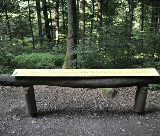 Steenbiezen, © Michael Hartusch