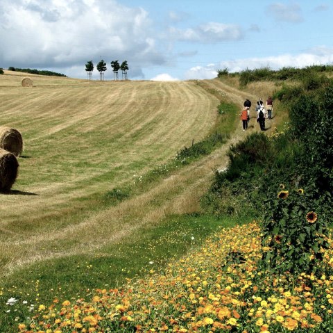 Vinxtbachtal, &copy; TI Vulkanregion Laacher See