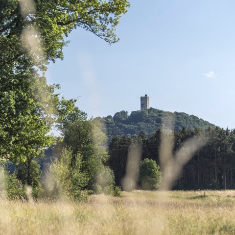 Cache Laachus hat Hunger in Spessart, &copy; Kappest/Vulkanregion Laacher See