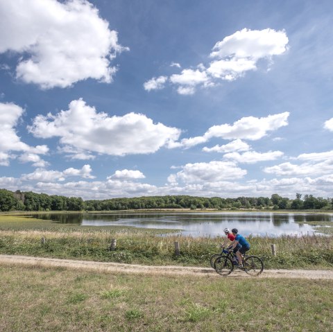 Zwei Fahrradfahrer fahren einen Feldweg am Rodder Maar entlang., &copy; Vulkanregion Laacher See, Klaus-Peter Kappest