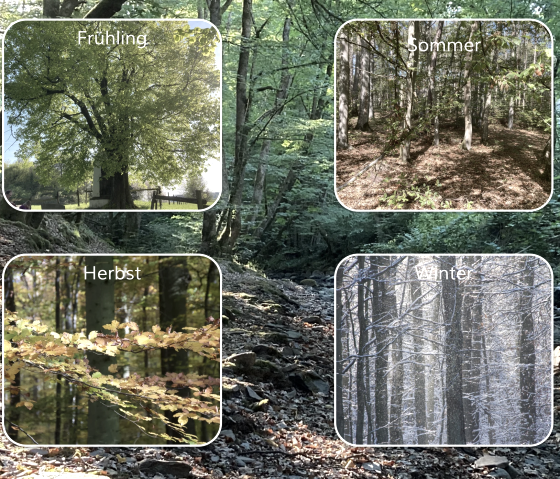 Saisons, © M. Schmitz