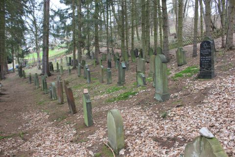 Ein ruhiger Wald mit einer alten Grabstätte. Mehrere Grabsteine sind zwischen den Bäumen auf einem erdigen Boden sichtbar.