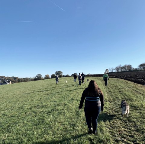 Gemeinsamer Spaziergang, &copy; Dani Sturm