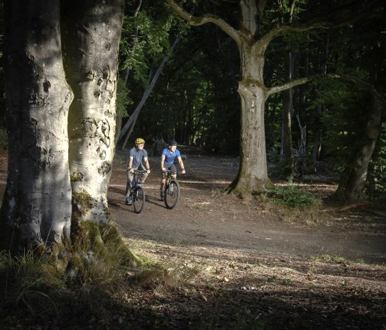 &Uuml;ber Stock und Stein, &copy; Vulkanregion Laacher See/Kappest