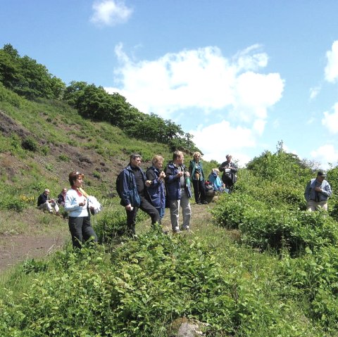 Wanderer am Bausenberg, &copy; TI Vulkanregion Laacher See