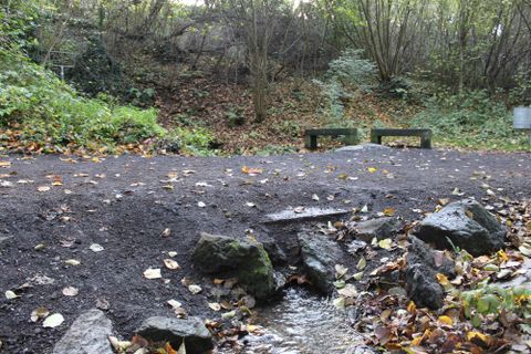 Ein gepflasterter Weg in einer herbstlichen Waldlandschaft. Kleine Steinchen und bunte Blätter liegen verstreut am Boden, neben einem kleinen Bach.