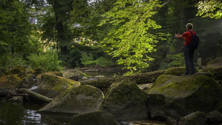Ein ruhiger Wald mit einem kleinen Bach und großen Felsen. Eine Person steht auf einem Stein und betrachtet die Natur.