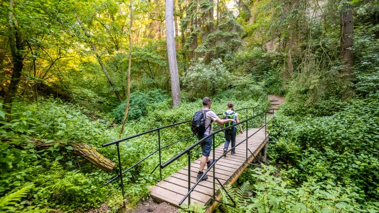 Zwei Wanderer überqueren eine Holzbrücke in einem dichten, grünen Wald.