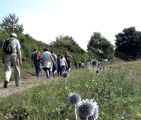 Wandern mit dem Bürgermeister 2, © VG Brohltal