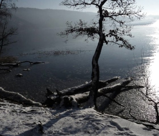 Wintertag am Laacher See, &copy; Herbert Birnberg
