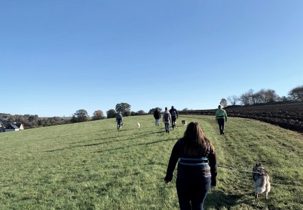 Spaziergang, &copy; Dani Sturm