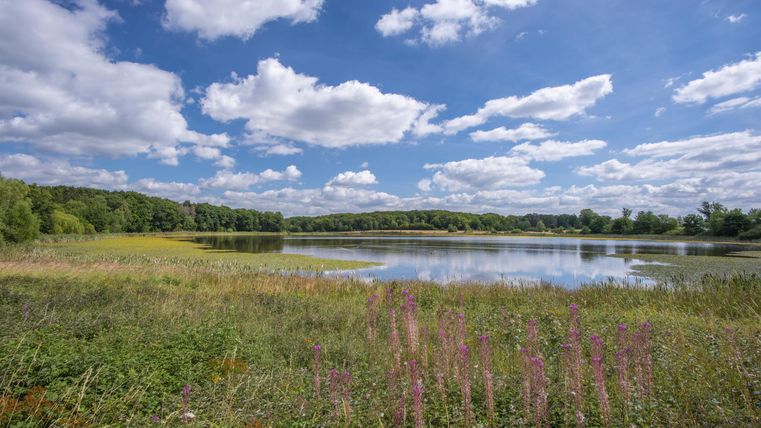 A picturesque lake surrounded by colorful meadows and gentle hills. The sky is clear and adorned with many clouds.