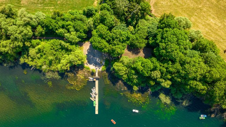 A tranquil lake with green trees and a small dock. There are some boats on the water.