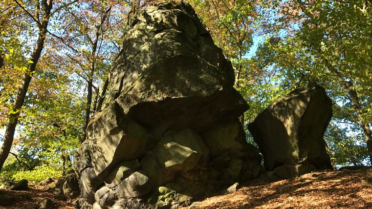 Große Felsformation im Wald mit herbstlichen Bäumen.