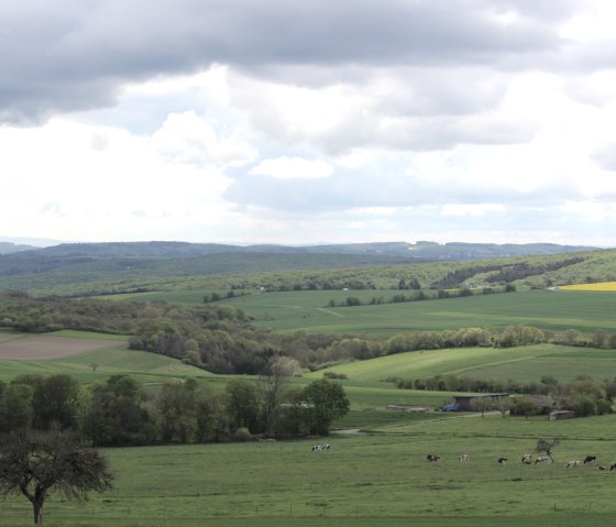 Weitblick, &copy; VG Brohltal / Schote
