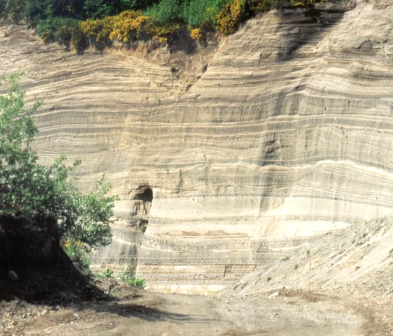 Wingertsbergwand - Nahansicht, &copy; VG Mendig/Neideck
