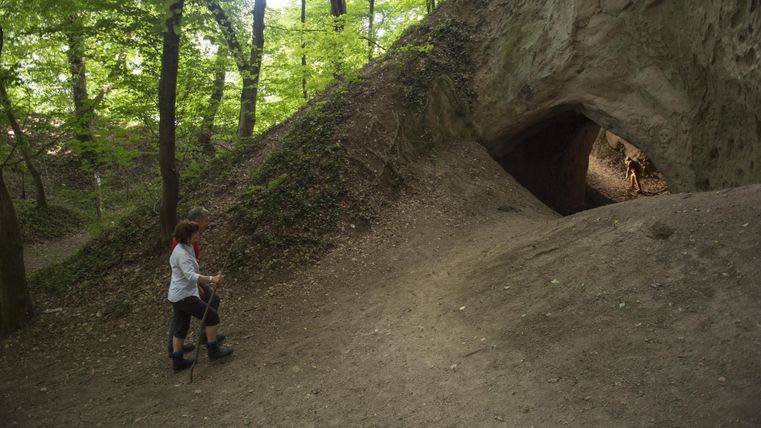 Eine Person wandert auf einem Pfad in einem Wald. Im Hintergrund ist eine Höhle sichtbar, die teilweise im Schatten liegt.