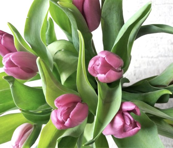 Ein Hauch von Fr&uuml;hling