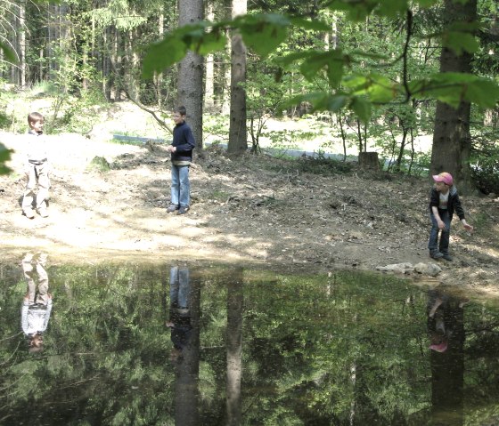 Kinder im Wald, &copy; TI Vulkanregion Laacher See