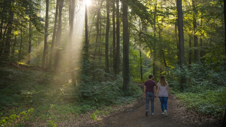 Ein Paar geht einen Waldweg entlang, umgeben von hohen Bäumen und sanftem Licht, das durch das Blätterdach fällt. Die Atmosphäre ist ruhig und romantisch.