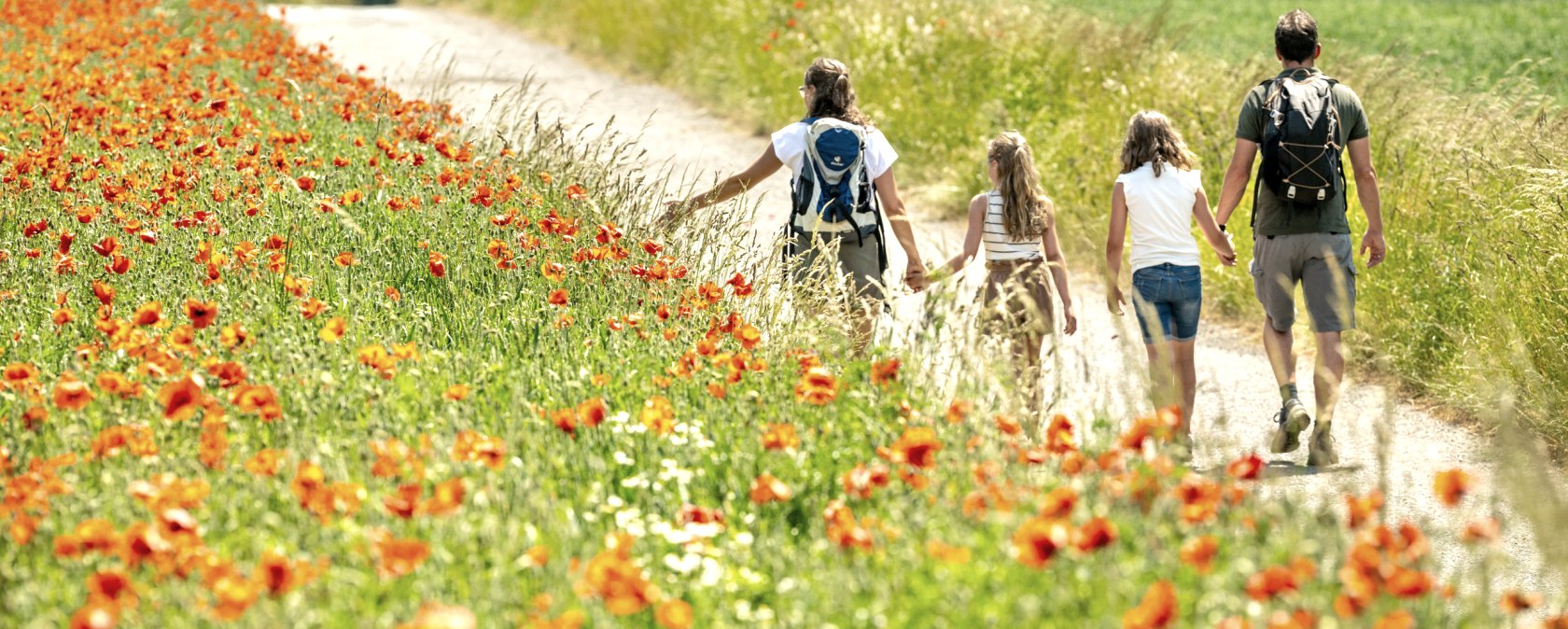 Mohnblumen am Laacher See, &copy; Eifel Tourismus GmbH, Dominik Ketz