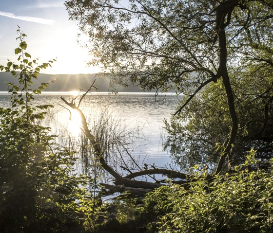 Lake Laach, &copy; Vulkanregion Laacher See/Kappest
