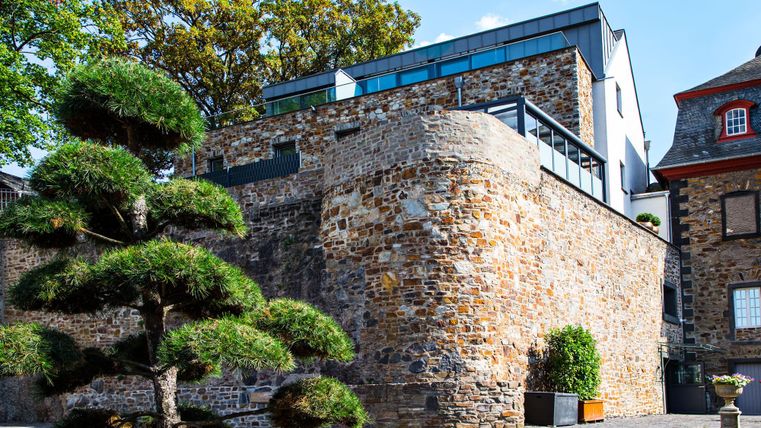 Ein historisches Gebäude mit einer steinernen Fassade und modernen Anbauten. Im Vordergrund steht ein gepflegter Baum, der die Umgebung ergänzt.