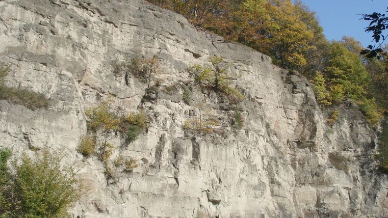 Eine hohe Felswand mit grünem Gras und einigen Bäumen im Vordergrund. Der Herbst hat die Blätter in warmen Farben gefärbt.