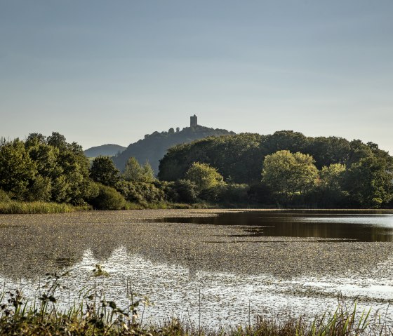 Das Rodder Maar liegt ruhig inmitten gr&uuml;ner Wiesen und bewaldeter H&auml;nge. Auf einer Anh&ouml;he im Hintergrund erhebt sich eine Burg, deren Silhouette malerisch &uuml;ber dem Gew&auml;sser thront., &copy; Baumann Fotografie