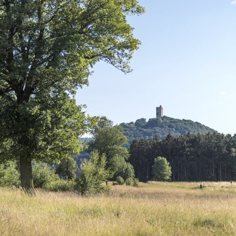 Blick auf Burg Olbrück, © Vulkanregion Laacher See/Kappest