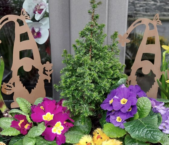 Fr&uuml;hling am G&auml;stehaus