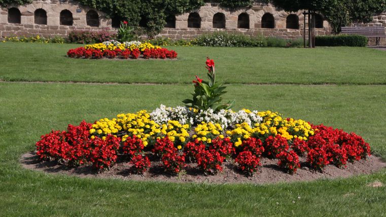 Ein schöner Blumengarten mit bunten Blumen in verschiedenen Farben. Im Hintergrund sind grüne Hecken und ein historisches Gemäuer zu sehen.
