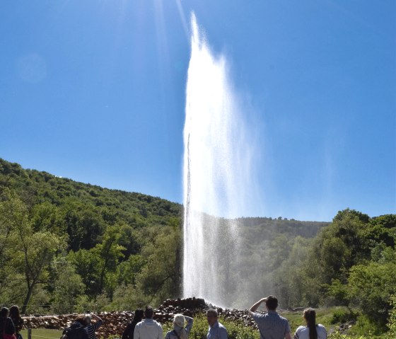 Kaltwasser-Geysir in Andernach - 12 km entfernt, &copy; A. Rueber