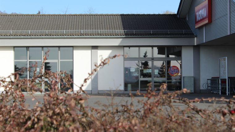 Ein modernes Geschäft mit großen Fenstern und einem klaren Himmel im Hintergrund. Die Pflanzen im Vordergrund verleihen der Szene einen natürlichen Touch.