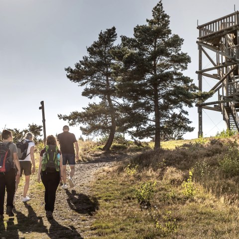 Weiselstein, © Vulkanregion Laacher See/Baumann Fotografie