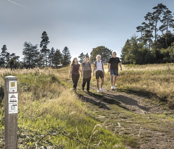 Signpost1@Baumann_k, © Vulkanregion Laacher See/Jan-Gerrit Baumann